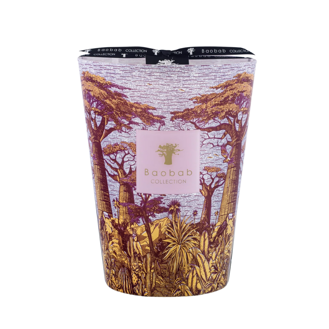 Scented Candle (Sacred Trees Massasso) 183oz – Perfect Settings